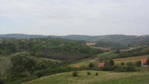 IMG_4817.JPG