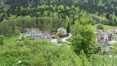 IMG_2264.JPG