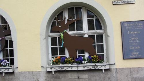 IMG_3823.JPG