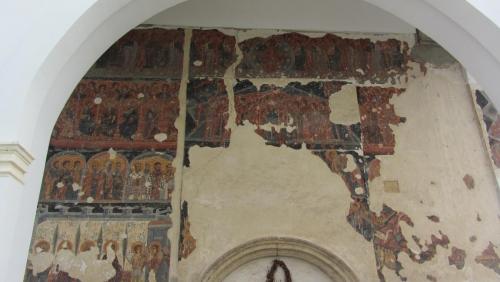 IMG_4773.JPG