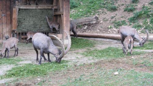 IMG_0183.JPG