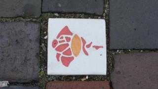 IMG_5717.JPG