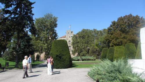 IMG_4314.JPG