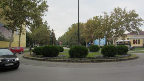 IMG_5598.JPG