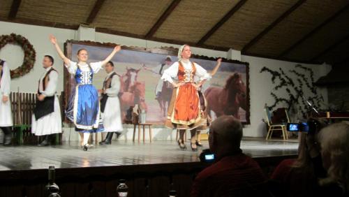 IMG_8084.JPG