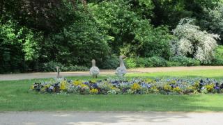 IMG_6740.JPG