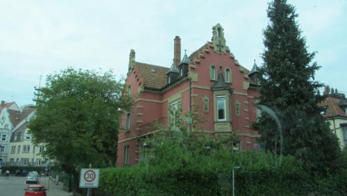 IMG_9870.JPG