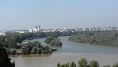 IMG_4237.JPG