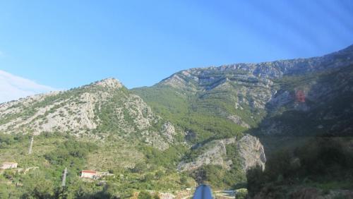 IMG_3345.JPG