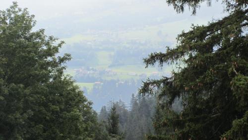 IMG_0175.JPG