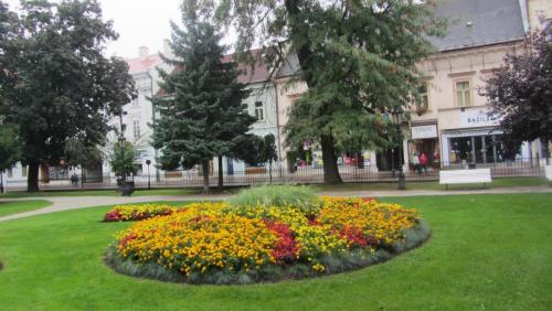 IMG_5864.JPG