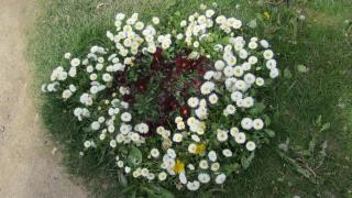 IMG_7851.JPG