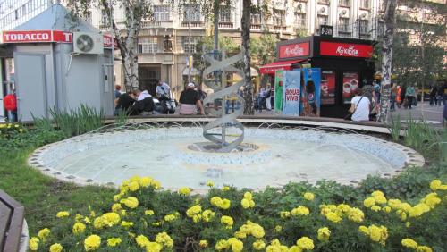 IMG_4546.JPG