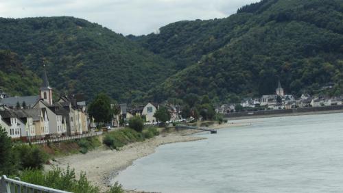IMG_8458.JPG