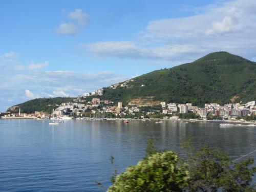 IMG_1583.JPG