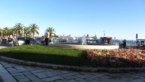 IMG_0492.JPG