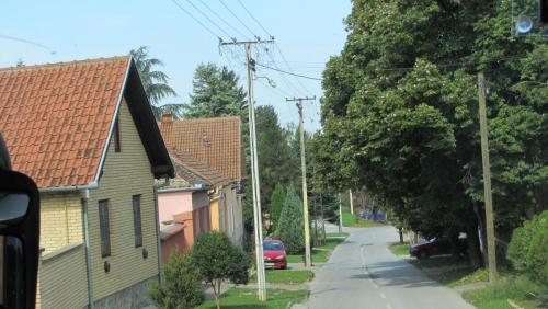 IMG_4895.JPG