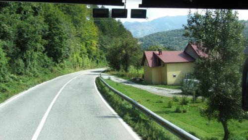 IMG_3571.JPG