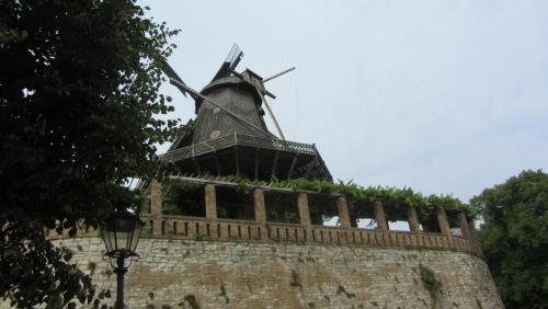 IMG_6708.JPG