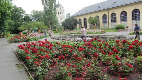 IMG_7143.JPG