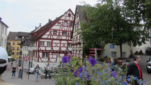 IMG_9924.JPG