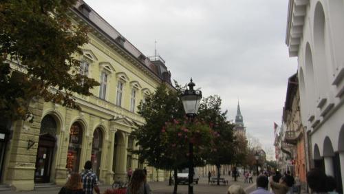 IMG_5453.JPG
