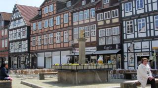 IMG_6880.JPG