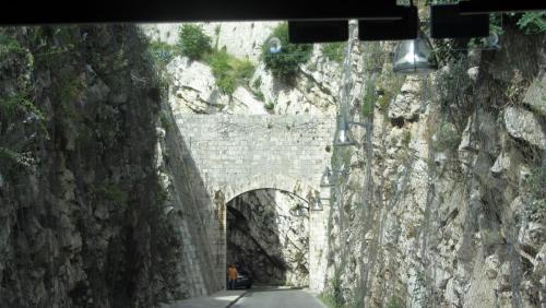 IMG_1009.JPG