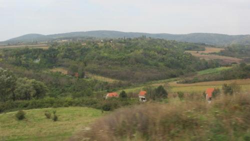 IMG_4818.JPG