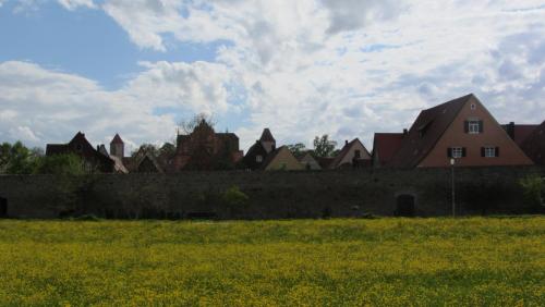 IMG_3165.JPG