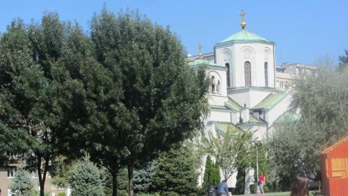 IMG_4496.JPG