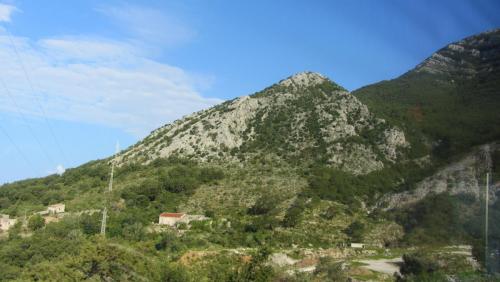 IMG_3346.JPG
