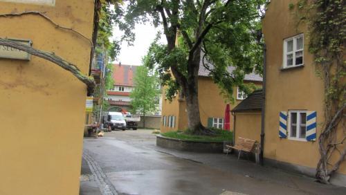 IMG_2450.JPG