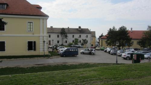 IMG_5323.JPG