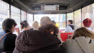 IMG_7775.JPG