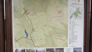 IMG_7117.JPG