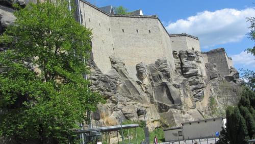IMG_4703.JPG