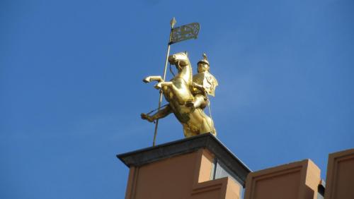 IMG_7010.JPG