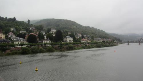 IMG_8985.JPG