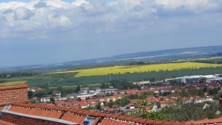 IMG_7828.JPG
