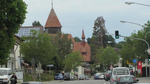 IMG_9873.JPG