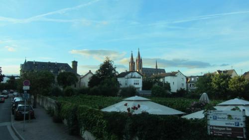IMG_8865.JPG
