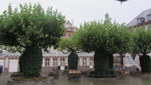 IMG_8902.JPG