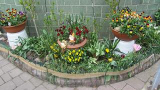 IMG_6149.JPG