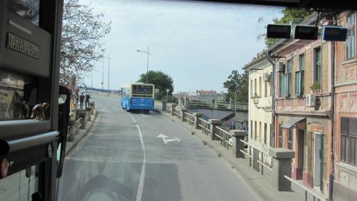 IMG_5069.JPG