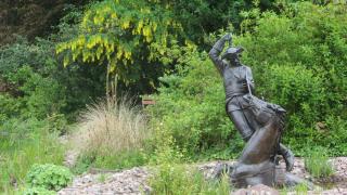IMG_5993.JPG