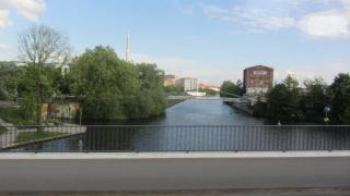 IMG_7982.JPG
