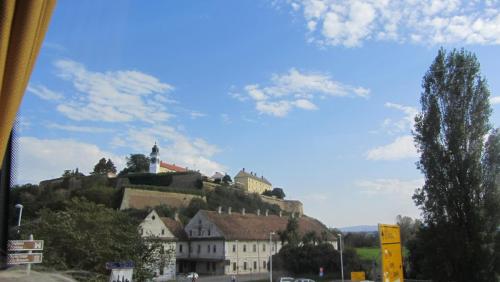 IMG_5375.JPG