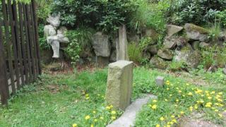 IMG_7175.JPG