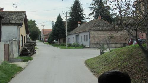 IMG_4876.JPG
